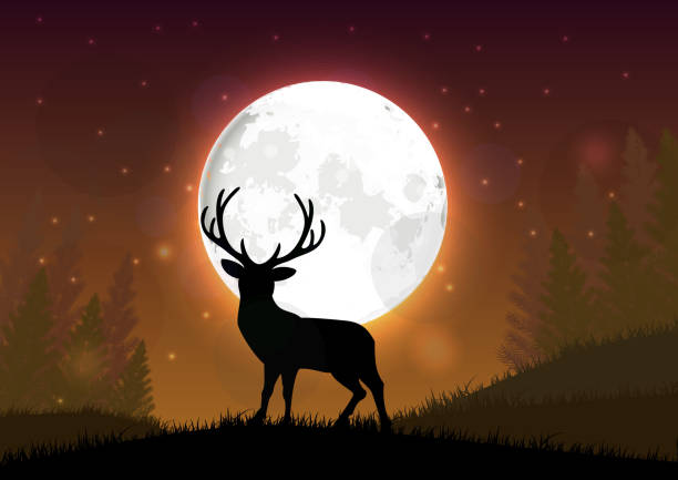 buckmoon